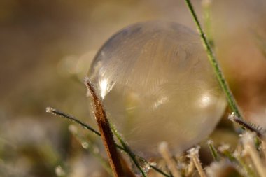 Parlak güneş ışığında romantik donmuş bir sabun köpüğüyle arka planda ışık ışınları metin için yer ile yansıtılır.