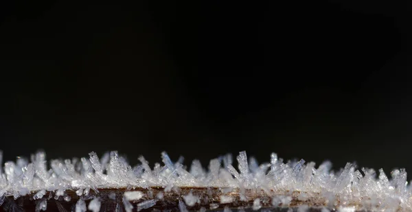 Szekrény Fehér Jégkristályok Fagy Száraz Növény Előtt Fekete Háttér Szöveges — Stock Fotó