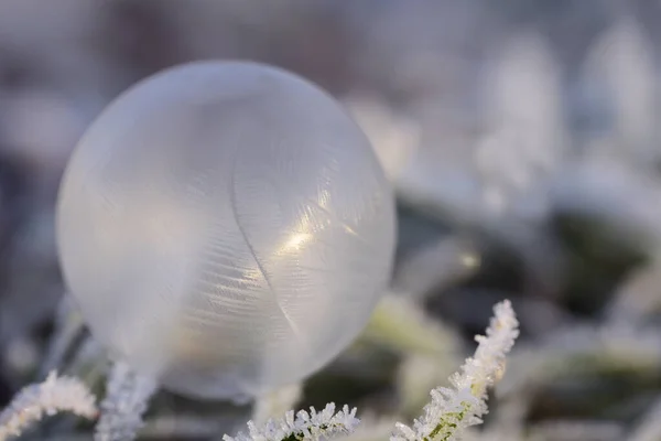 Una Burbuja Jabón Congelado Sobre Hierba Congelada Con Cristales Hielo —  Fotos de Stock