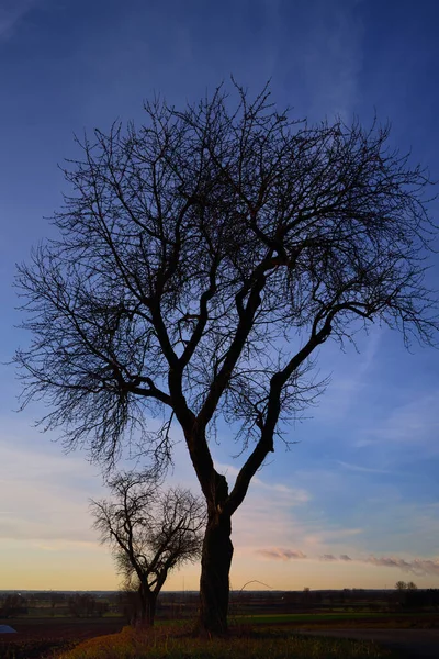 Soluppgång Med Röd Och Blå Himmel Och Moln Samt Ett — Stockfoto