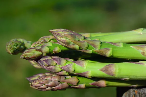 Taze yeşil kuşkonmaz, hasat sonrası bir odun parçasının üzerinde, Almanya 'da yeşil bir arka planda duruyor.
