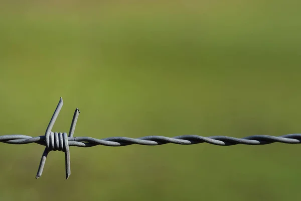 Metal dikenli teli yakın plan ve yakın plan ile yeşil arkaplan arasında metin için boşluk