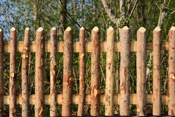 나무껍질이 통나무로 울타리 나무가 가장자리에 — 스톡 사진