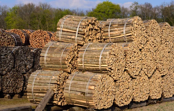 Background Lot Cut Split Stacked Firewood Which Ready Sale — Stock Photo, Image