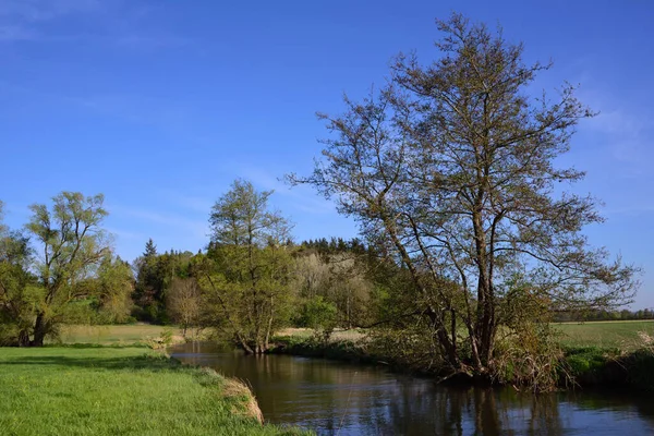 Cichy Krajobraz Nad Rzeką Wiosną Delikatnymi Łąkami Drzewami Tle Błękitnego — Zdjęcie stockowe