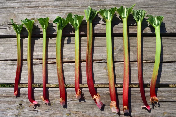 Rhubarbe Fraîche Aux Tiges Rouges Trouve Côte Côte Sur Une — Photo