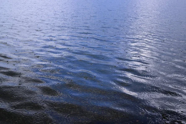 Gotas Chuva Caem Lago Escuro Formam Pequenos Círculos Água — Fotografia de Stock