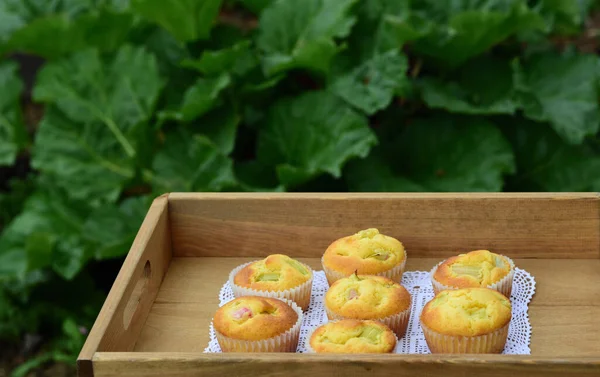 On a wooden tray with white lace are freshly baked rhubarb muffins with green rhubarb leaves in the background