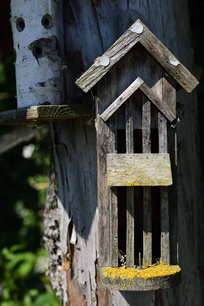 Uma Pequena Casa Desgastada Para Insetos Pendura Tronco Árvore Natureza — Fotografia de Stock