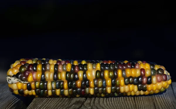 Zbliżenie Kolorowe Kolby Kukurydzy Ozdoby Ciemnym Tle Wolnej Przestrzeni — Zdjęcie stockowe