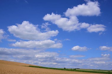 Beyaz bulutlu mavi gökyüzünün altında yazın Bavyera 'da tarlalar ve tarlalar vardır.