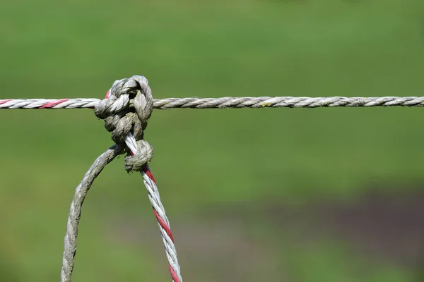 Close Cable Electric Fence Held Together Knot — Stock Photo, Image