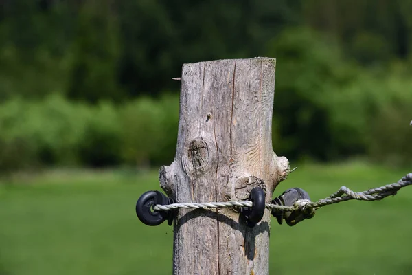 Detail Electric Fence Made Wood Cables Pasture — Stock Photo, Image