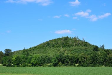 Ağaçlar ve çalılarla dolu, yumuşak yeşil bir tepe. Yazın bulutlu mavi bir gökyüzüne karşı.