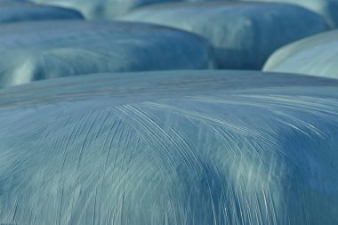 Mavi plastik ambalaja sarılı saman balyaları ile yakın plan ve arka plan