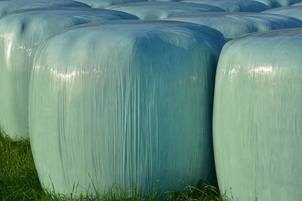 Mavi plastik ambalaja sarılı saman balyaları ile yakın plan ve arka plan