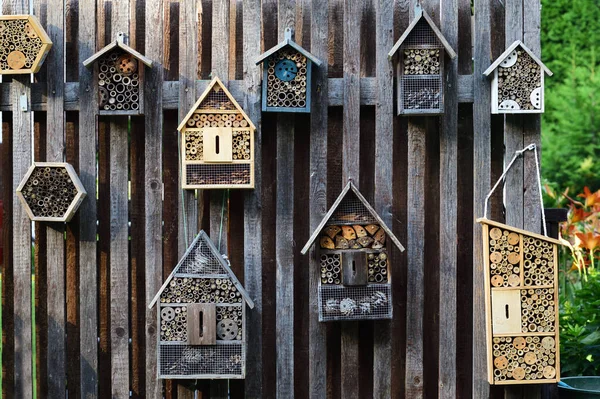 Ένα Ξύλινο Φράχτη Στον Κήπο Υπάρχουν Πολλά Ξύλινα Κουτιά Στα — Φωτογραφία Αρχείου