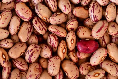 Lezzetli görüntüler ve kurutulmuş bıldırcın bıldırcınının arka planı.