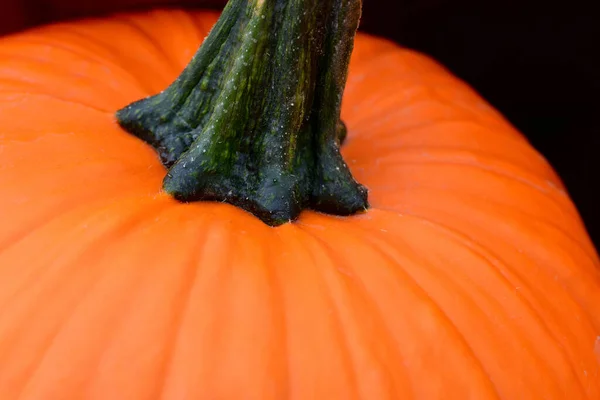 Close Detail Van Een Frisse Oranje Pompoen Met Steel Voor — Stockfoto