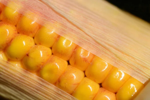 Közelkép Közelkép Egy Friss Sárga Kukoricacsutkáról Sűrített Kukoricamaggal Kis Cseppekkel — Stock Fotó
