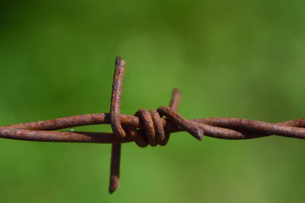 Closeup Red Rusty Barbed Wire Front Green Background Free Space — Stock Photo, Image