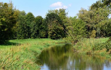 Derenin aktığı ağaçlar sessiz bir dereye yansıyor.