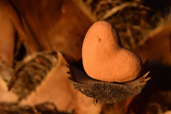 Ett Hjärta Röd Lera Ligger Den Avsågade Grenen Palm Mot — Stockfoto