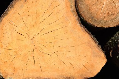 Yığılmış odun kütüklerinin dokusu ve ayrıntıları koyu bir arkaplan karşısındadır.