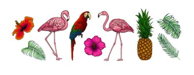 Tropikal yapraklar, çiçekler, kuşlar ve beyaz arka plan üzerinde izole meyve Vektör toplama. Bir orman parti dekorasyon, düğün davetiyesi, tatil, etiket kiti için egzotik illüstrasyonlar. Yaz seti.