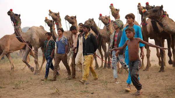 Pushkar India November 2018 Unidentified Group Gypsy Herders Pushkar Camel — Stock Photo, Image