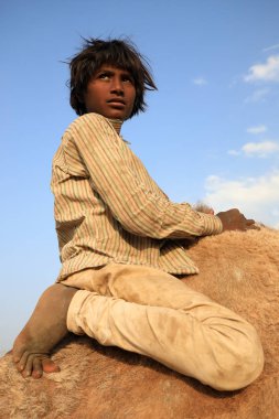 Pushkar, Hindistan - 14 Kasım 2018: Pushkar Camel Fair, Rajasthan'da kimliği belirsiz Çingene çocuk. Fuar Hindistan'ın en büyük deve fuarı..