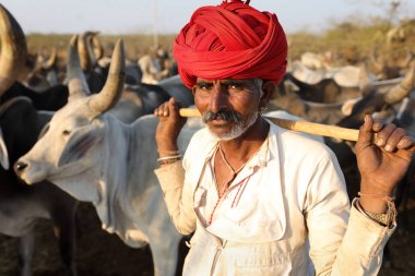 Rann Of Kutch, Hindistan - 8 Aralık 2018: Gujarat'ın Kutch ilçesinde kırsal bir köyde tanımlanamayan Rabari çobanı. Kutch bölgesi aşiret yaşamı ve geleneksel kültürü ile ünlüdür..
