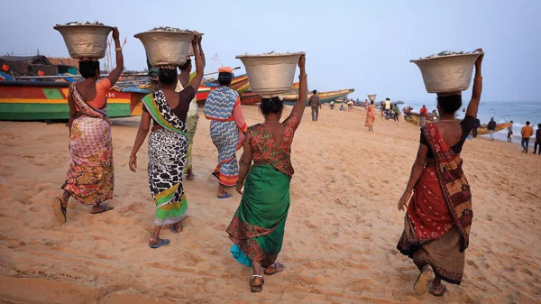 Puri India December 2019 확인되지 여성들이 푸리의 전통적 해변에서 물고기를 — 스톡 사진