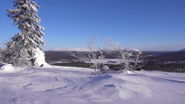 Viento Fuerte Día Invierno Cima Una Montaña Laponia Finlandesa Con — Vídeos de Stock