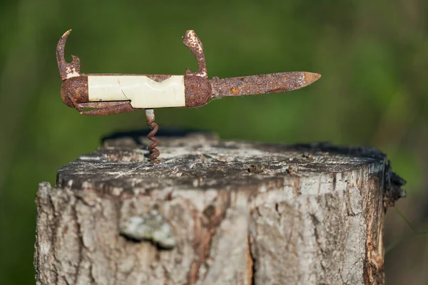 Rusty Old Vintage Pocketknife Top Stump Summer Evening Forest — Stock Photo, Image