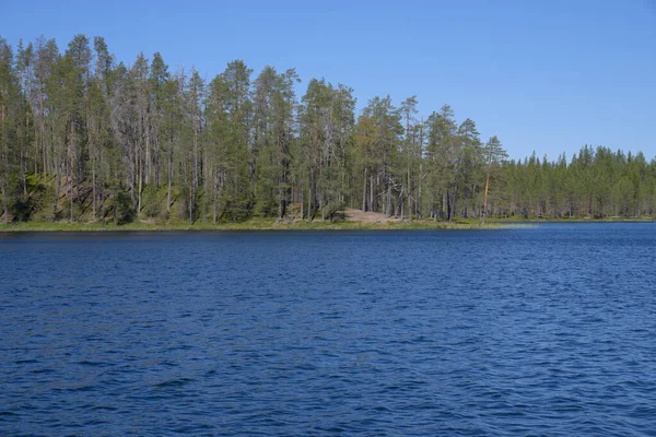 Modré Jezero Stále Zelený Les Národním Parku Hossa Severním Finsku — Stock fotografie