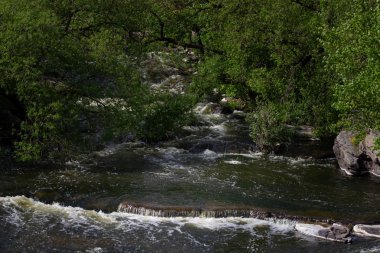 Nehir ve büyük kayaları ile güzel Fjadrargljufur kanyon. Bucky Kanyon hızlı Nehri