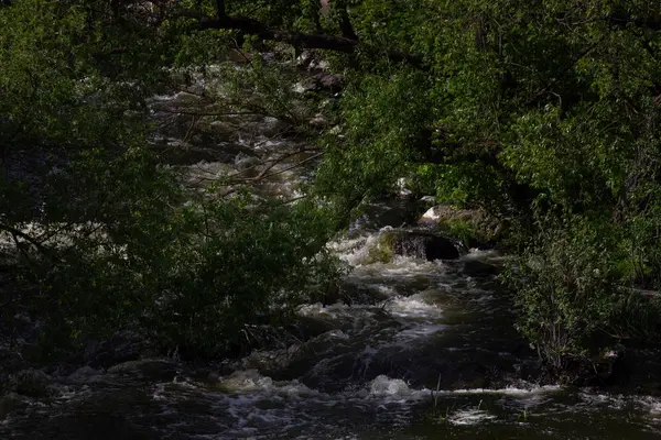 Eau de rivière rapide avec roches, mousse et éclaboussures. rive de la rivière Great Falls . — Photo
