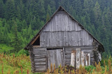 güzel dağ manzarası ile yaz aylarında ahşap ev,