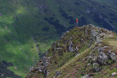 Dağ manzarasının önündeki kahverengi inek.