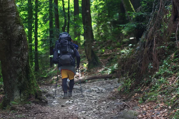 dağlarda yürüyüş yürüyüş yapanlar. Hedef, başarı, özgürlük ve başarı kavramı.