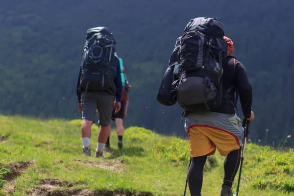 dağlarda yürüyüş yürüyüş yapanlar. Hedef, başarı, özgürlük ve başarı kavramı.