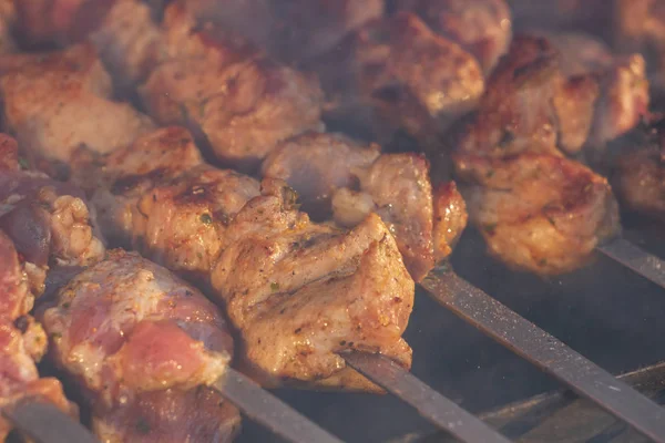 Gegrillte Fleischspieße Grill — Stockfoto