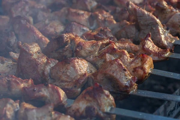 Gegrillte Fleischspieße Grill — Stockfoto