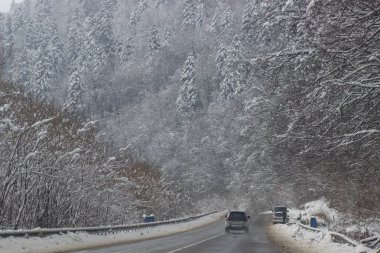 Kış yolun karla kaplı ağaçlarıyla çevrili.