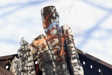 Kış orman yangında yanan odun