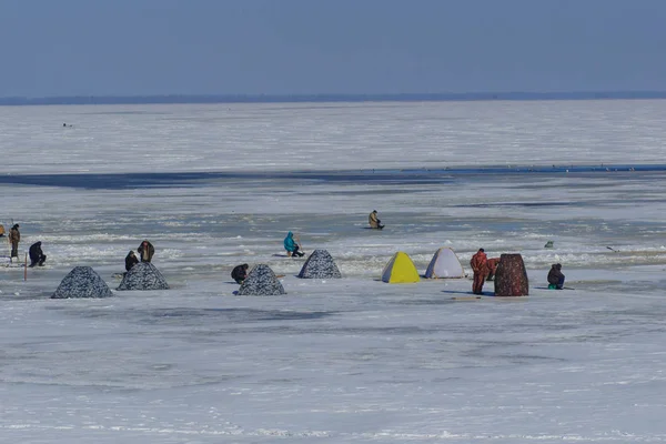 Cherkassy Ucrania Marzo 2018 Los Pescadores Pescan Pesca Invierno — Foto de Stock