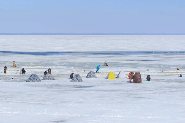 Cherkassy Ucrania Marzo 2018 Los Pescadores Pescan Pesca Invierno — Foto de Stock