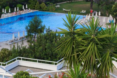 Güzel park yüzme havuzunda.
