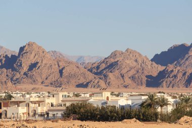 manzara ve güzel plajları ile avuç içi ve birden fazla şemsiye, Sharm El Sheikh, Mısır